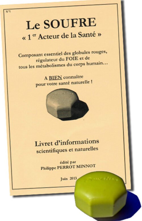 Philippe Perrot Minnot, Galet de soufre Deucalion + livret d'informations scientifiques et naturelles